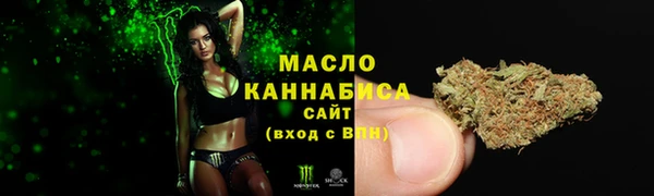 тгк Кемь