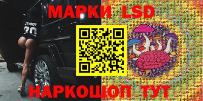 apvp Волжск