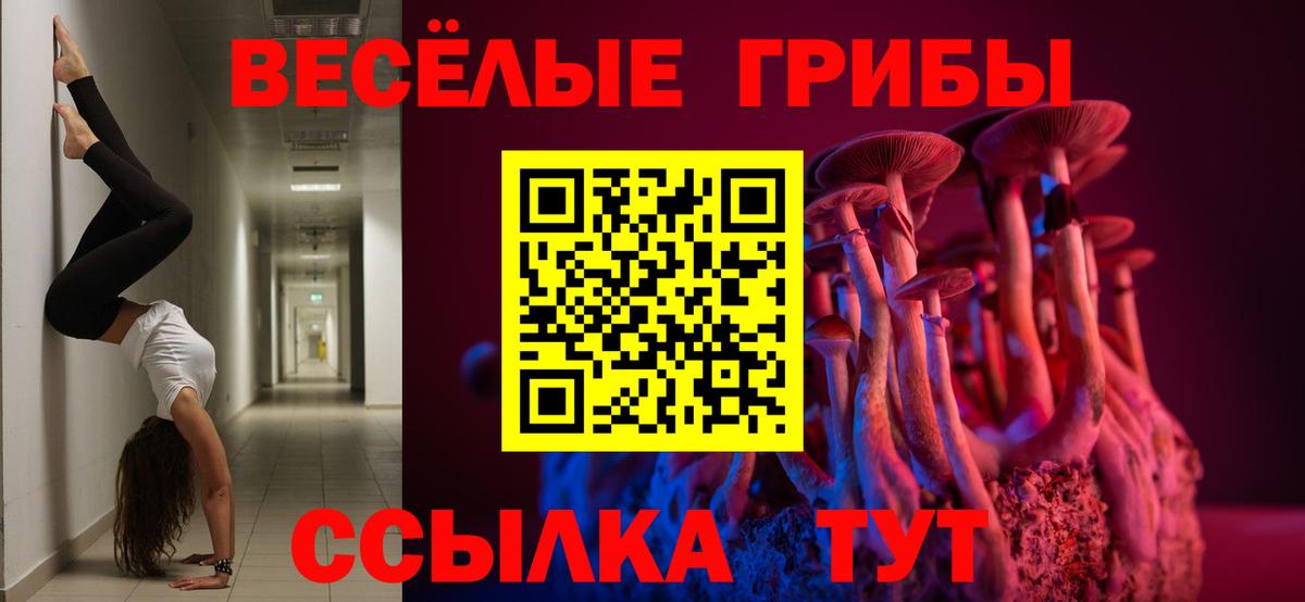 Подольск  Псилоцибиновые грибы GOLDEN TEACHER  Вход с VPN 